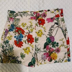 NWOT. ZARA High waisted shorts. Medium